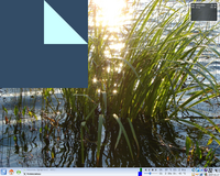 Screenshot of grass growing out of the water